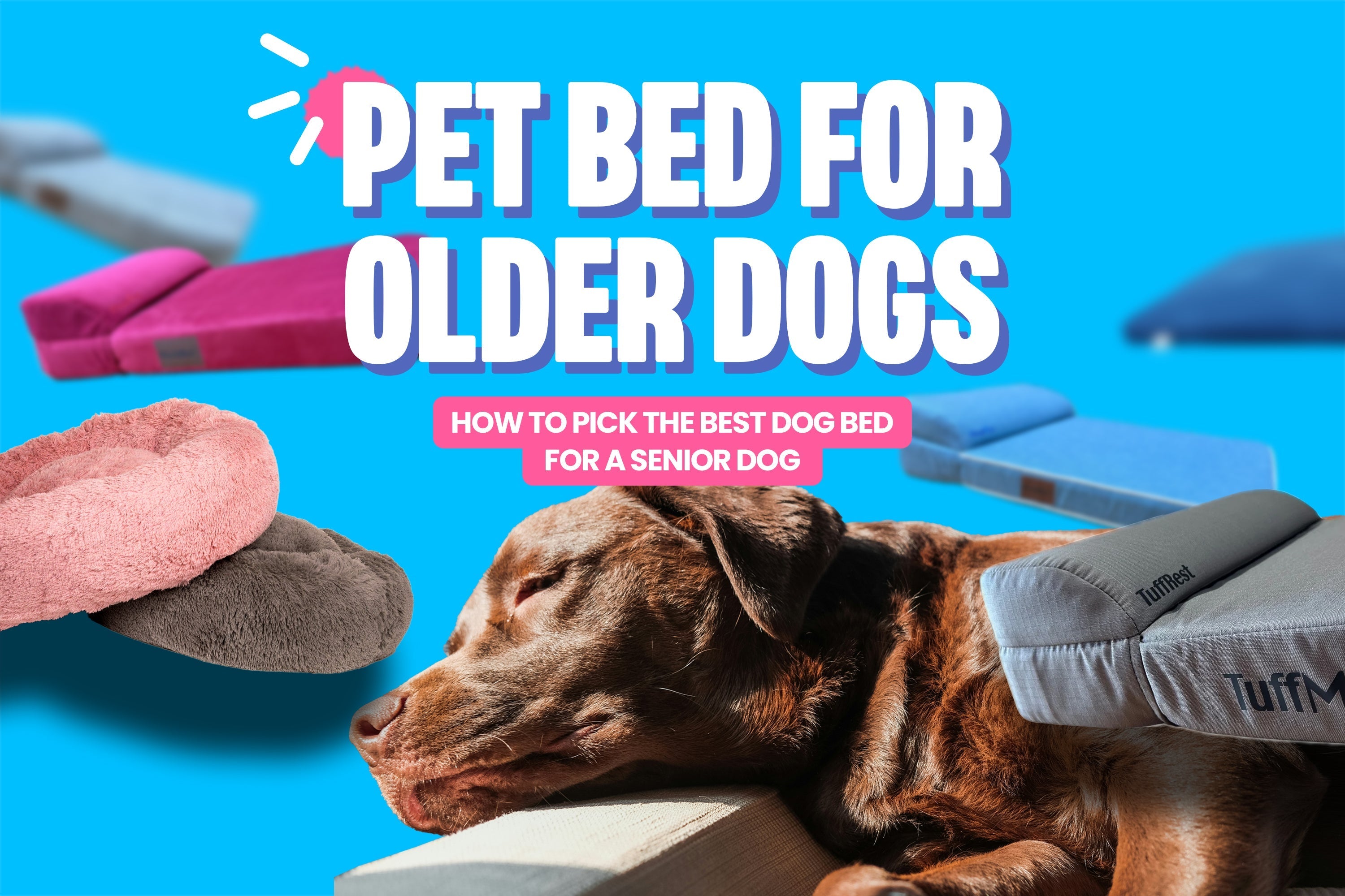 Dog bed for elderly dog best sale