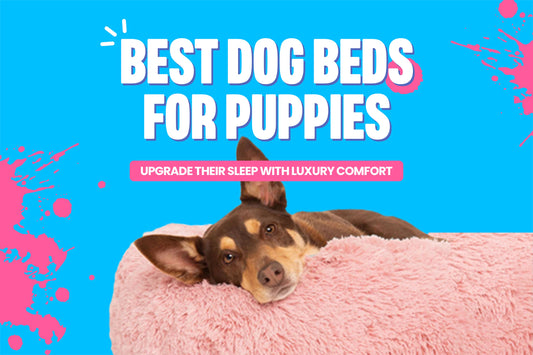 best dog bed for puppies - puppy lying on a pink bed