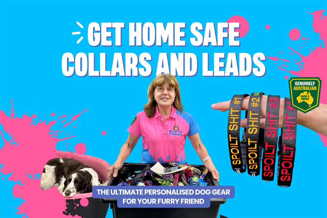 Get home safe dog collars and leads 