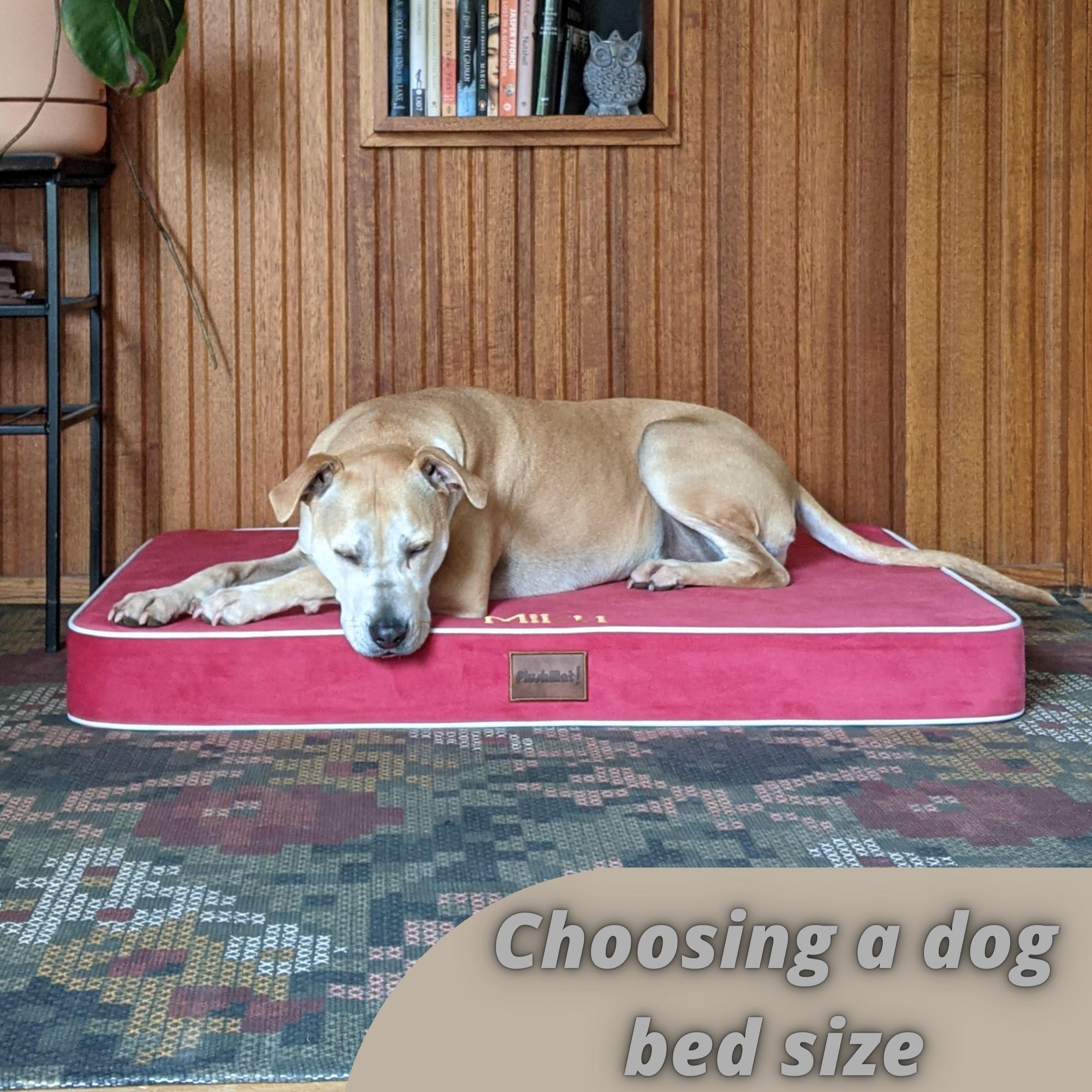 Foster and smith orthopedic dog beds best sale