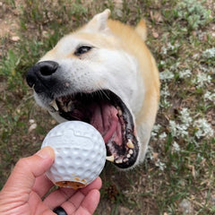 Golf Ball - Chew Toy & Treat Dispenser