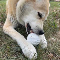 Golf Ball - Chew Toy & Treat Dispenser