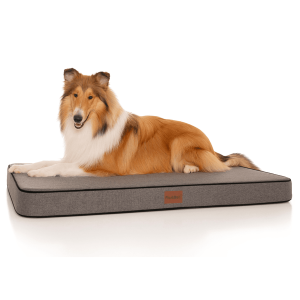 Luxury Orthopaedic Dog Bed | Australian Made | PlushMat! - Rover Pet ...