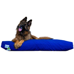 Kloud9 Calming Dog Bed