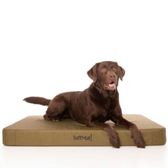 TuffMat! Orthopaedic Dog Bed