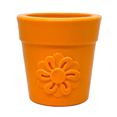 Flower Pot