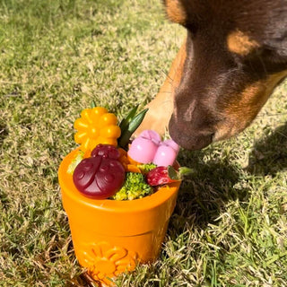 Flower Pot