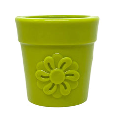 Flower Pot