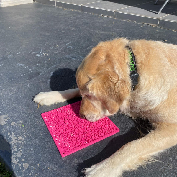 Healthy Dog Dining  Flower Power Emat Enrichment Licking Mat for Dogs –  UKUSCAdoggie