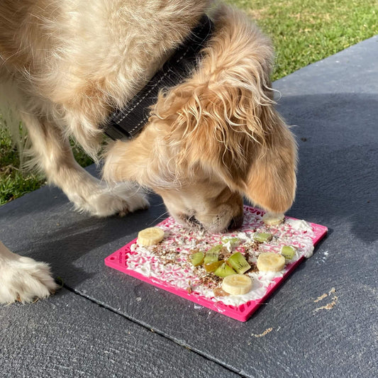 Flower Power eMat (Large) Enrichment Lick Mat