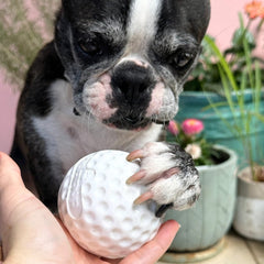 Golf Ball - Chew Toy & Treat Dispenser