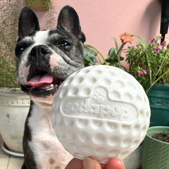 Golf Ball - Chew Toy & Treat Dispenser