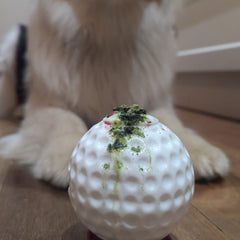 Golf Ball - Chew Toy & Treat Dispenser