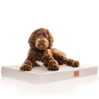 PlushMat! Plus - Thermal & Therapeutic - Orthopaedic Dog Bed