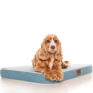 PlushMat! Plus - Thermal & Therapeutic - Orthopaedic Dog Bed