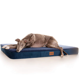 PlushMat! Plus - Thermal & Therapeutic - Orthopaedic Dog Bed