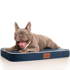 PlushMat! Plus - Thermal & Therapeutic - Orthopaedic Dog Bed