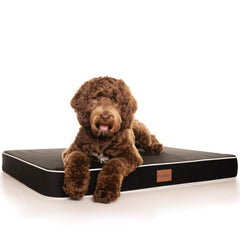 PlushMat! Plus - Thermal & Therapeutic - Orthopaedic Dog Bed