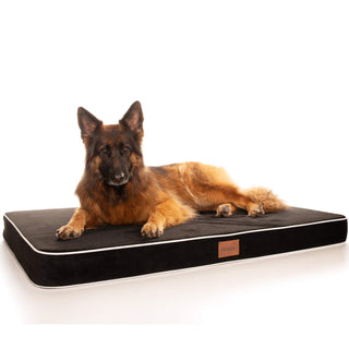 PlushMat! Plus - Thermal & Therapeutic - Orthopaedic Dog Bed