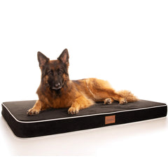 PlushMat! Orthopaedic Dog Bed