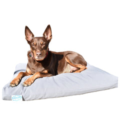 Kloud9 Calming Dog Bed