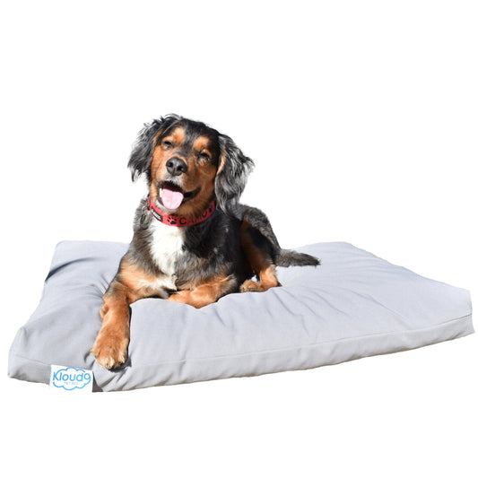 Kloud9 Calming Dog Bed