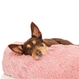 Kloud9 Teddy Covers - Australia's Best Calming Dog Bed