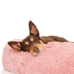 Kloud9 Teddy - Australia's Best Calming Dog Bed