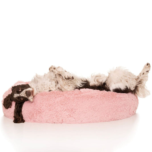 Kloud9 Teddy - Australia's Best Calming Dog Bed