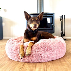 Kloud9 Teddy - Australia's Best Calming Dog Bed