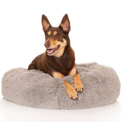 Kloud9 Teddy - Australia's Best Calming Dog Bed