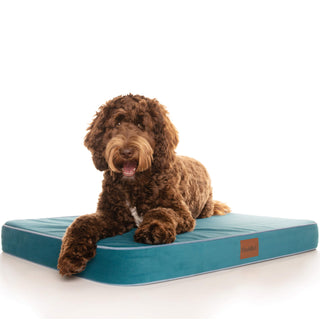 PlushMat! Orthopaedic Dog Bed