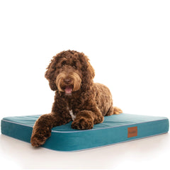 PlushMat! Plus - Thermal & Therapeutic - Orthopaedic Dog Bed