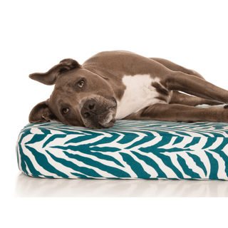 PlushMat! Orthopaedic Dog Bed