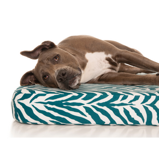 PlushMat! Plus - Thermal & Therapeutic - Orthopaedic Dog Bed