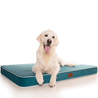 PlushMat! Plus - Thermal & Therapeutic - Orthopaedic Dog Bed