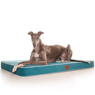 PlushMat! Orthopaedic Dog Bed