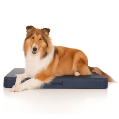 TuffMat! Orthopaedic Dog Bed