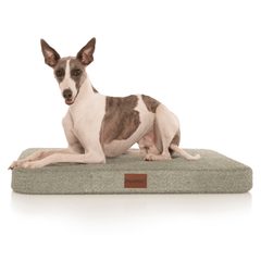 PlushMat! Plus - Thermal & Therapeutic - Orthopaedic Dog Bed