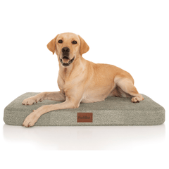 PlushMat! Plus - Thermal & Therapeutic - Orthopaedic Dog Bed