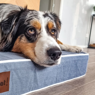 PlushMat! Plus - Thermal & Therapeutic - Orthopaedic Pet Bed