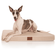 PlushMat! Orthopaedic Dog Bed