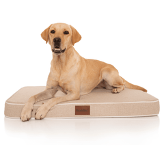 PlushMat! Plus - Thermal & Therapeutic - Orthopaedic Dog Bed