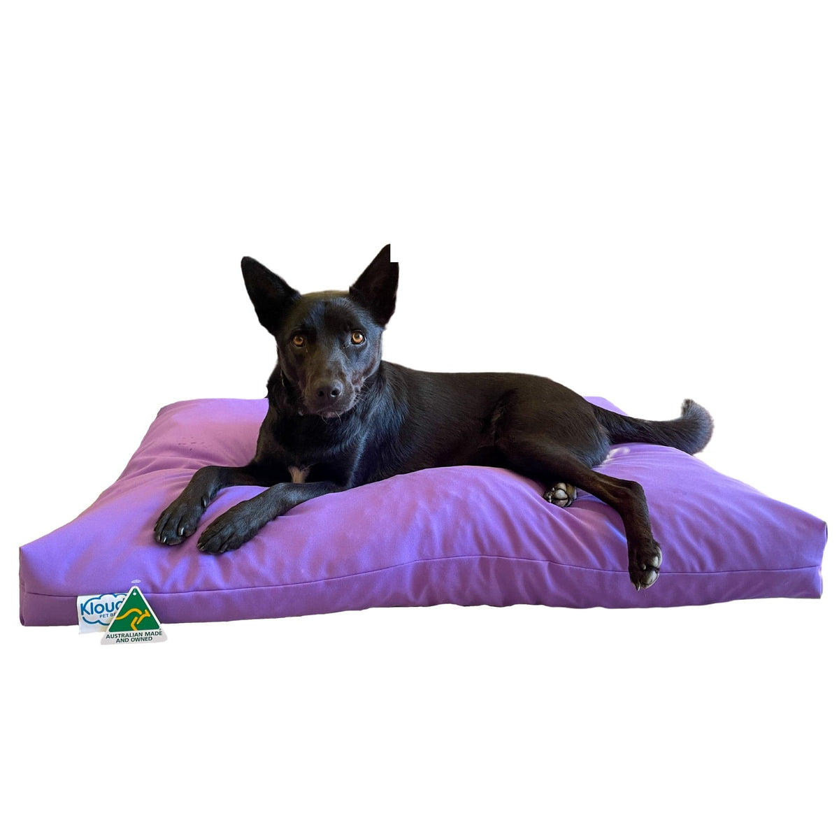 Kloud9 Calming Dog Bed 100 Australian Made Comfort Anxiety Relief Rover Pet Products