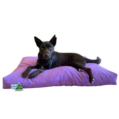 Kloud9 Calming Dog Bed