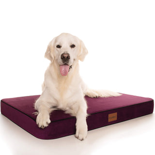 PlushMat! Orthopaedic Dog Bed