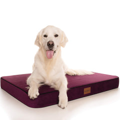 PlushMat! Plus - Thermal & Therapeutic - Orthopaedic Dog Bed