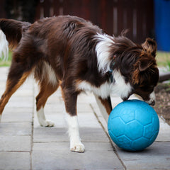 Jolly Soccer Ball