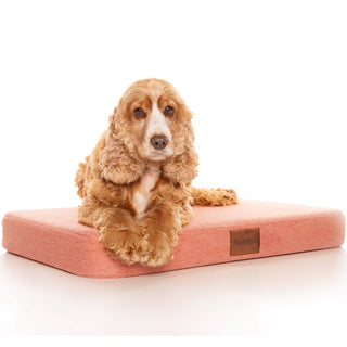 PlushMat! Plus - Thermal & Therapeutic - Orthopaedic Dog Bed