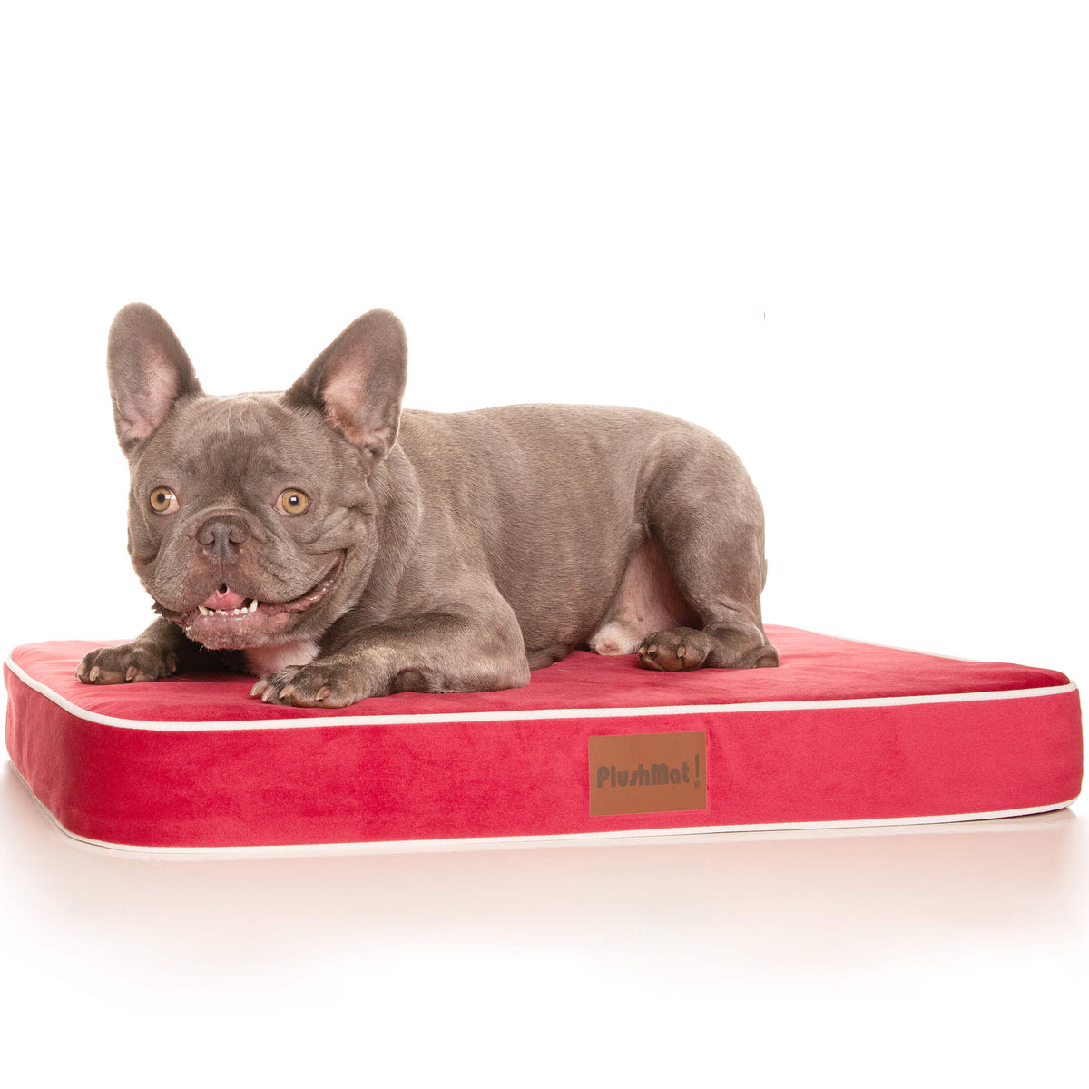 Luxury Dog Beds Australia Large Dog Beds Rover Pet Products